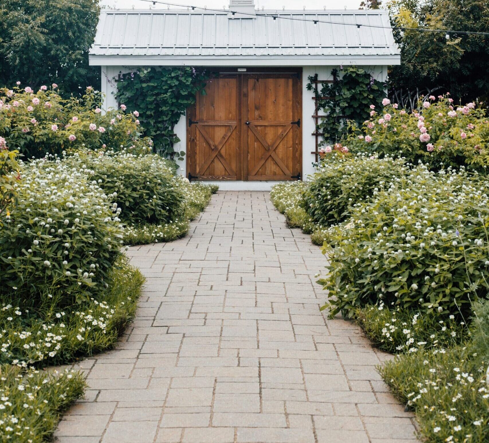 annie shelmerdine oth0rbji86k unsplash